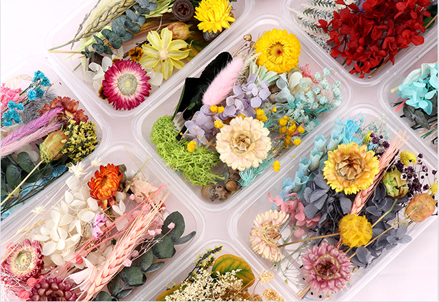 DRY FLOWERS