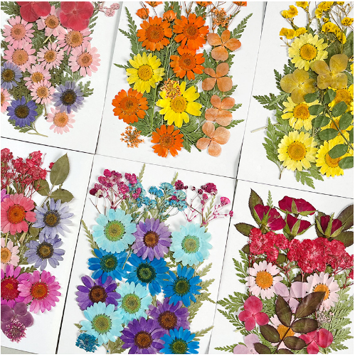 DRY FLOWERS